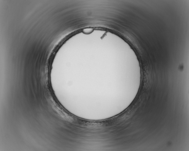 X0000116271076200912211753