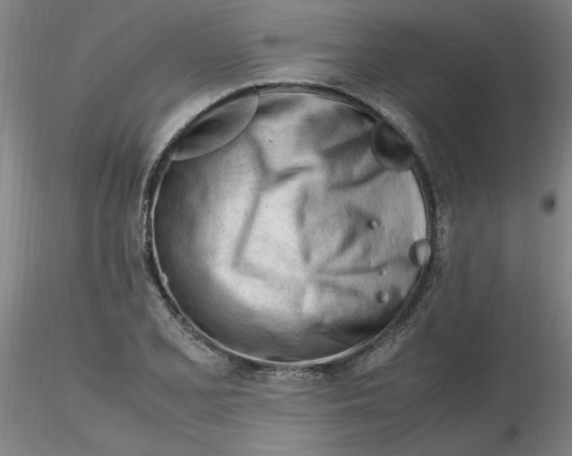 X0000116271077200912211753