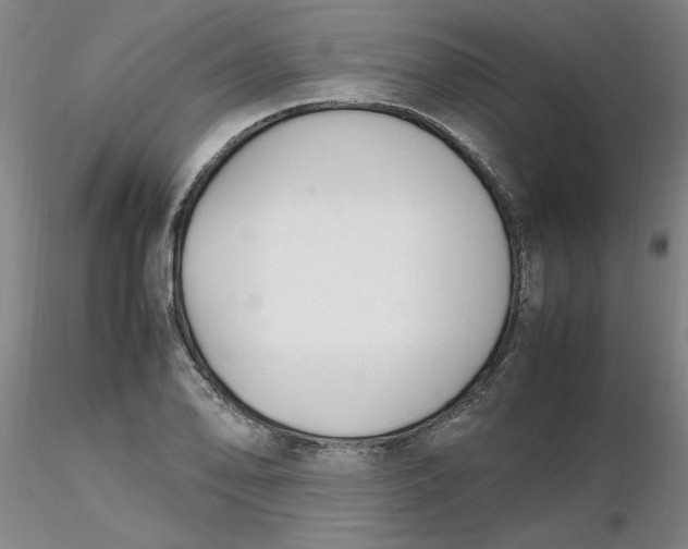X0000116271078200912211753