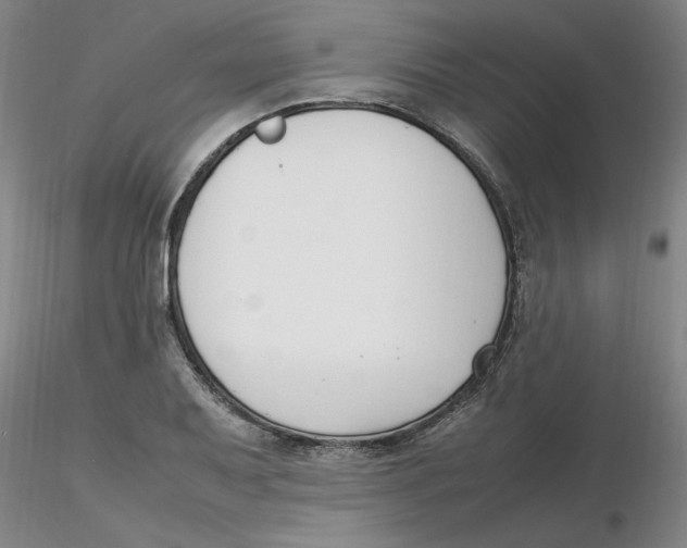 X0000116271079200912211753