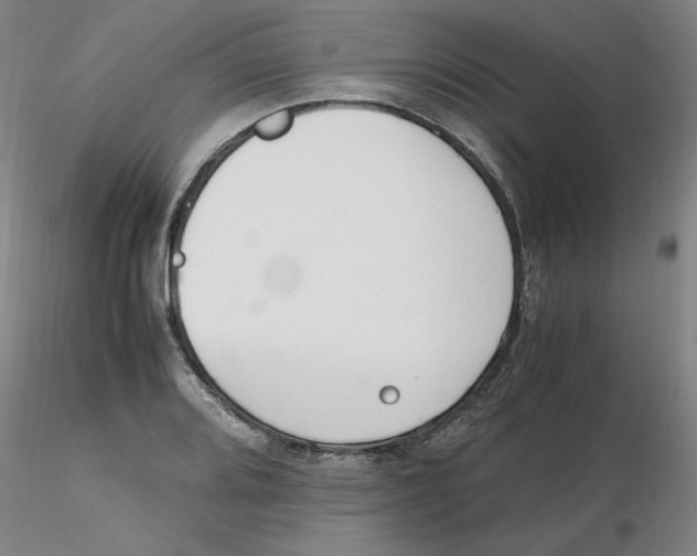 X0000116271080200912211753
