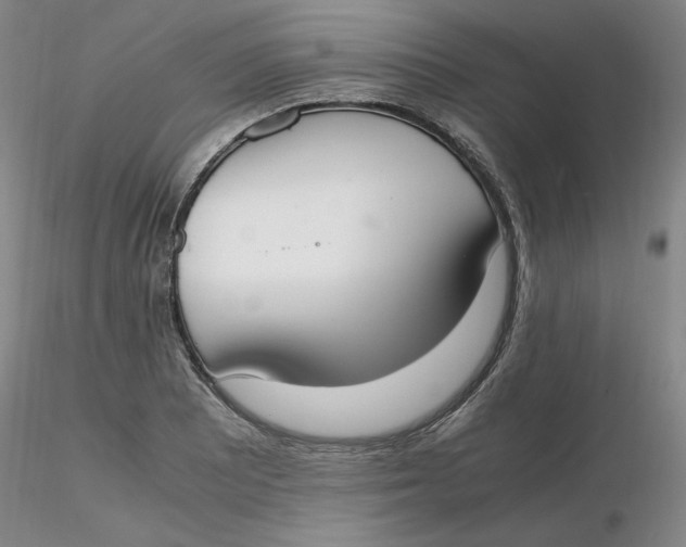 X0000116271081200912211753