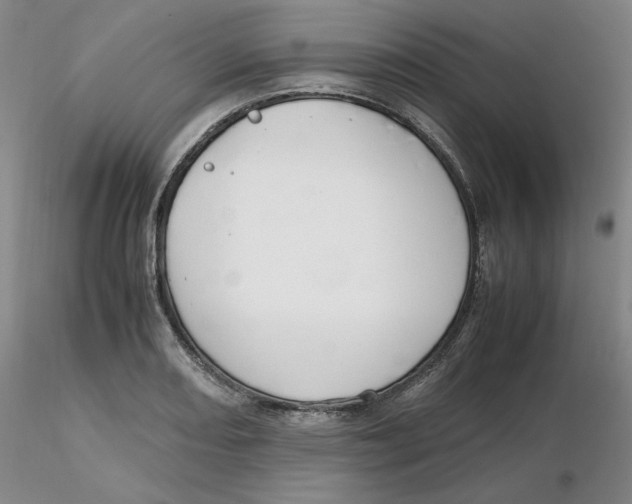X0000116271082200912211753