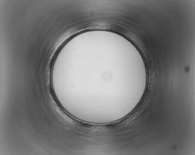 X0000116271083200912211753