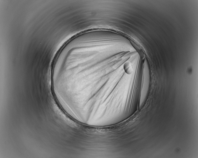 X0000116271084200912211753