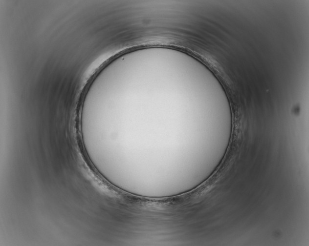 X0000116271086200912211753