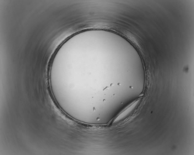 X0000116271087200912211753