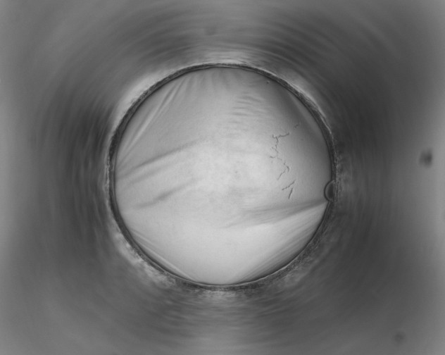 X0000116271088200912211753