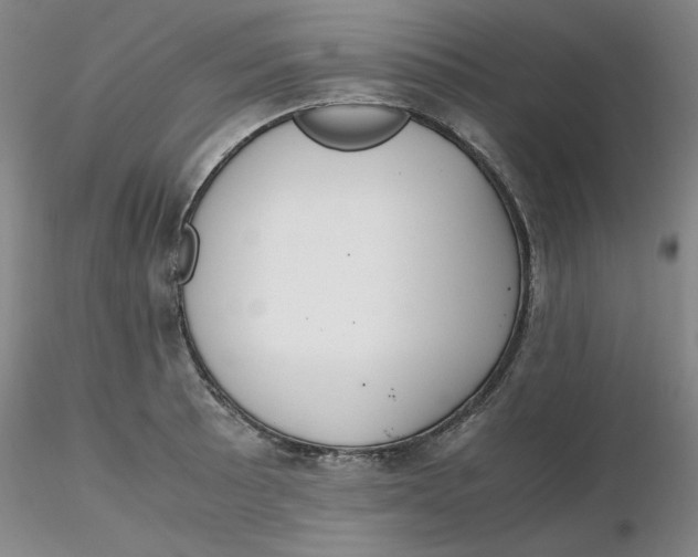 X0000116271089200912211753