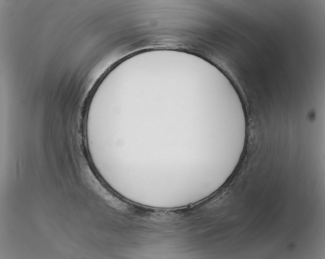 X0000116271091200912211753