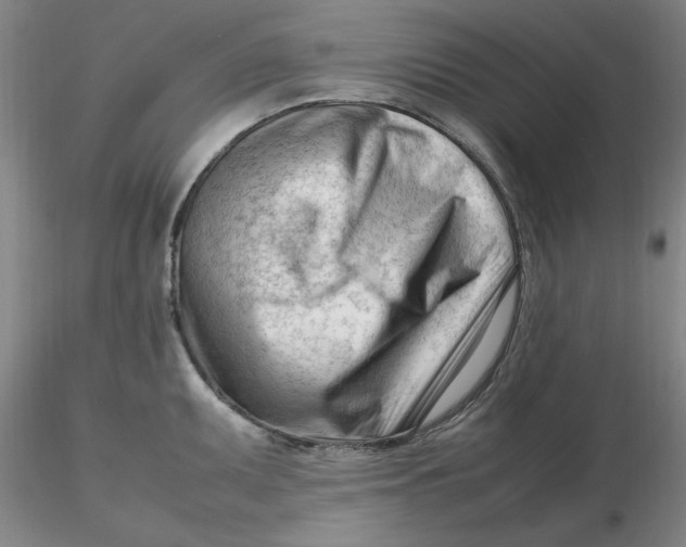 X0000116271095200912211753