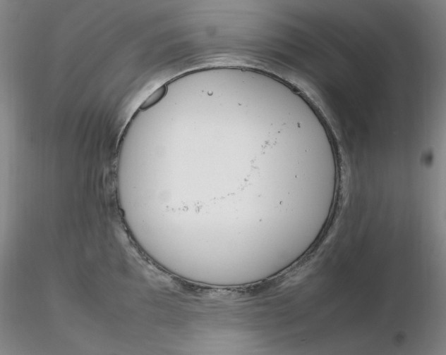 X0000116271097200912211753