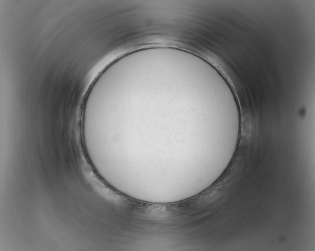X0000116271098200912211753