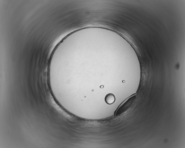 X0000116271100200912211753
