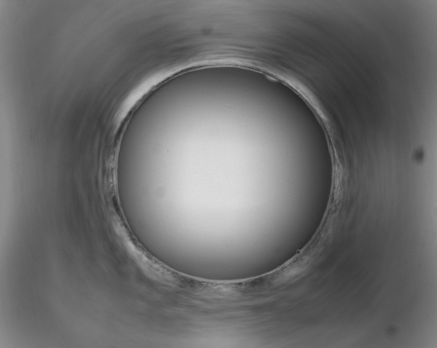 X0000116271101200912211752