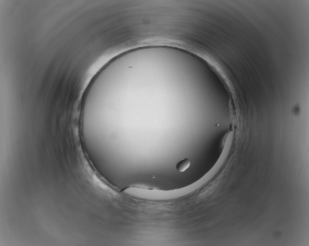 X0000116271102200912211752