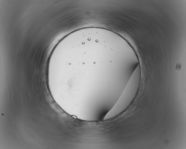 X0000116271104200912211752