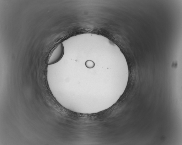 X0000116271105200912211752