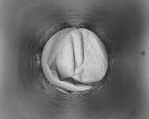 X0000116271106200912211752