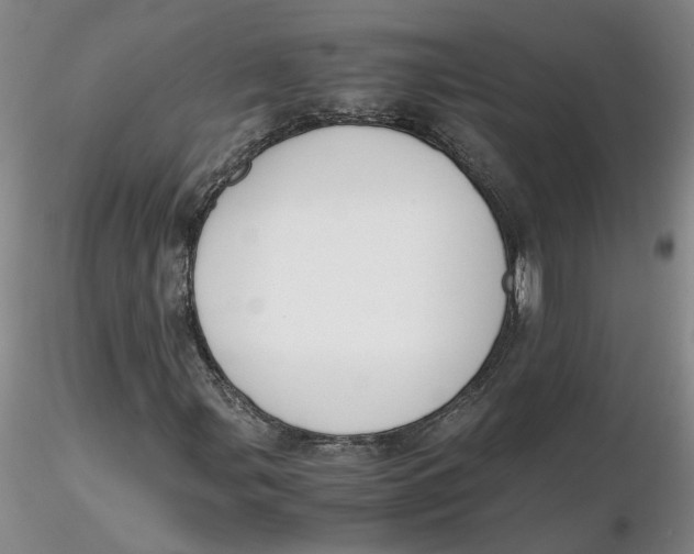 X0000116271107200912211752