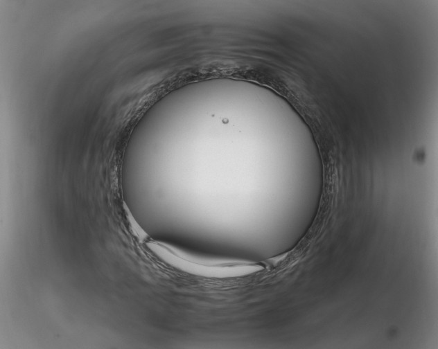 X0000116271109200912211752