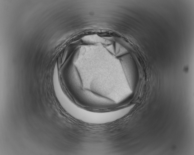 X0000116271110200912211752