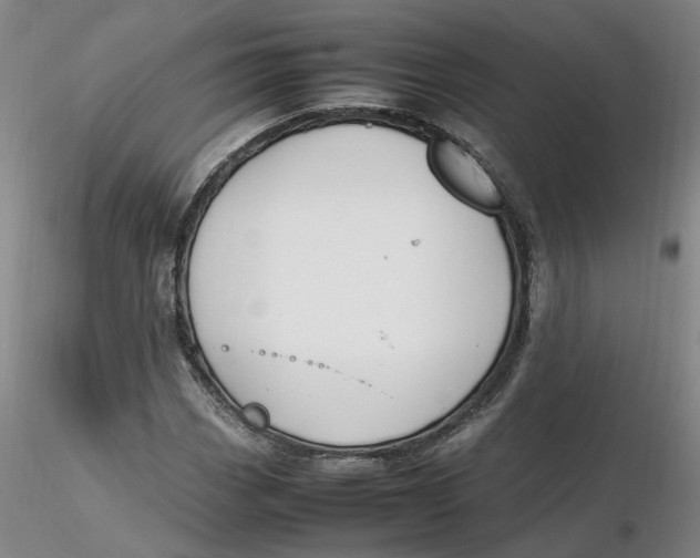 X0000116271113200912211752