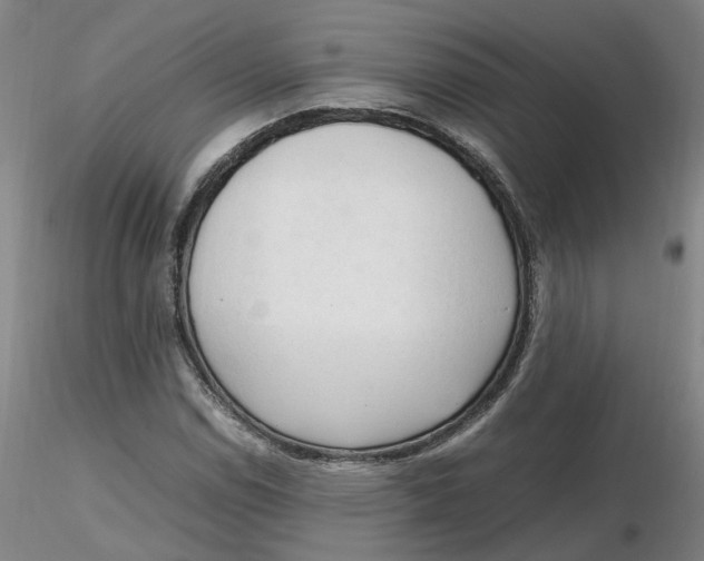 X0000116271114200912211752