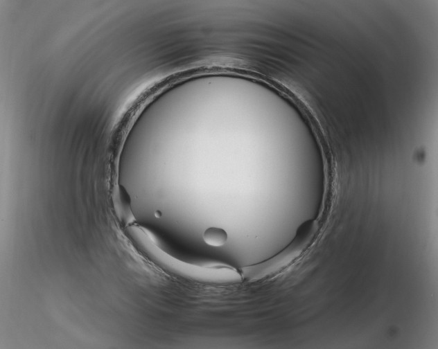 X0000116271115200912211752