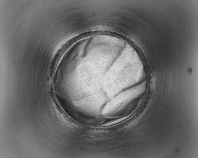 X0000116271117200912211752