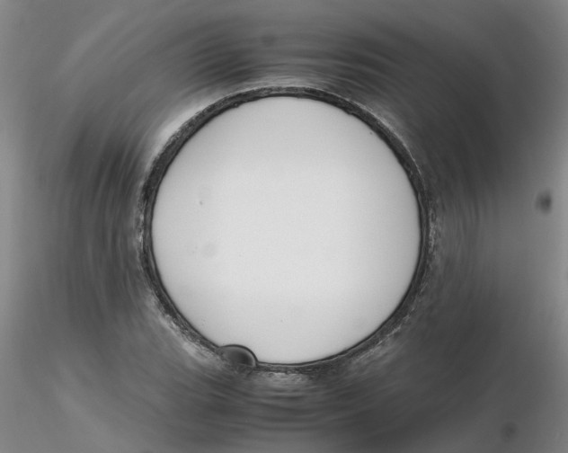 X0000116271119200912211752