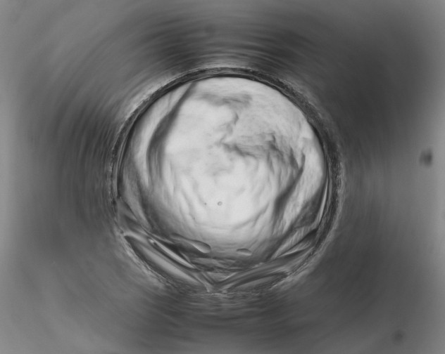 X0000116271121200912211752