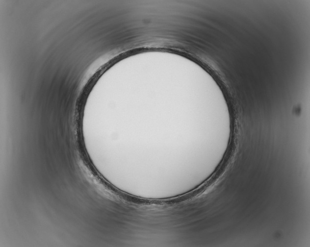 X0000116271122200912211752