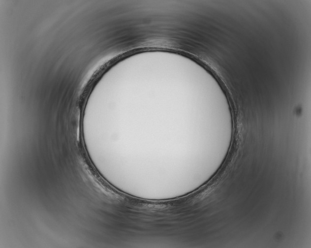 X0000116271123200912211752