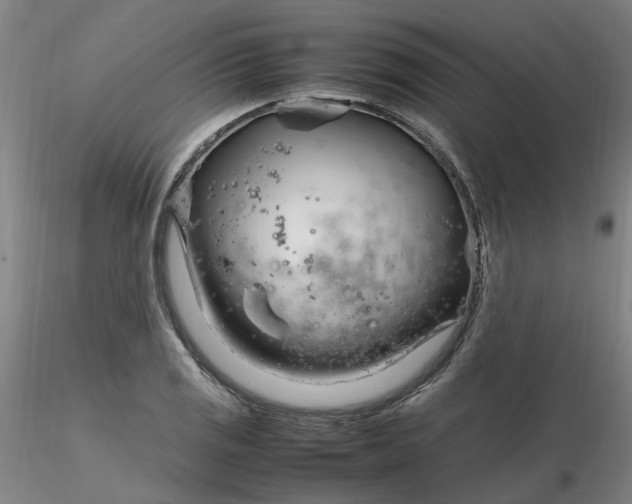 X0000116271125200912211752