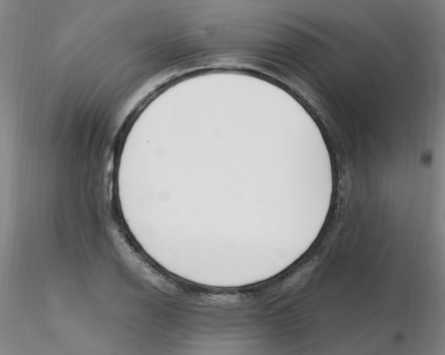 X0000116271126200912211752
