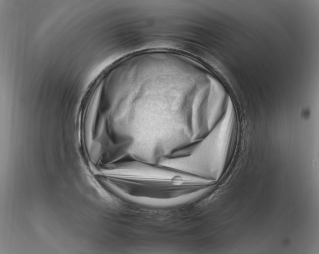 X0000116271127200912211752