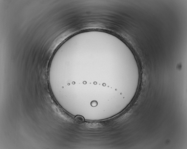 X0000116271129200912211752