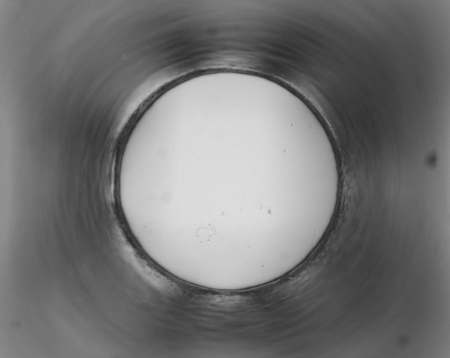 X0000116271131200912211752