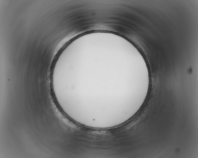X0000116271133200912211752