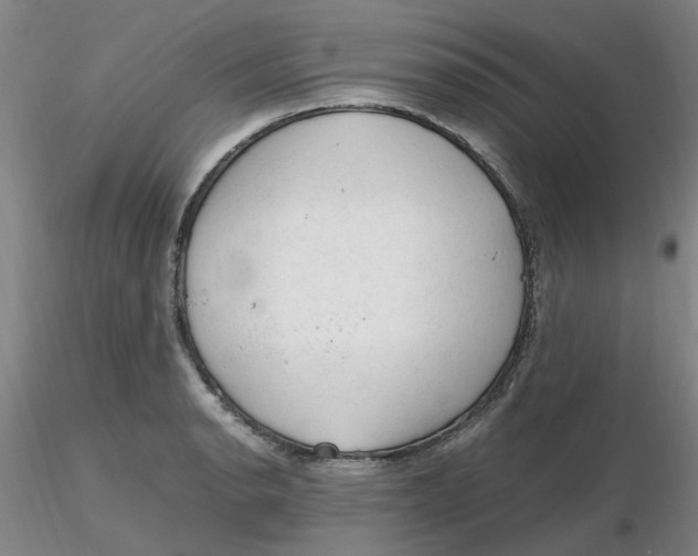 X0000116271134200912211752