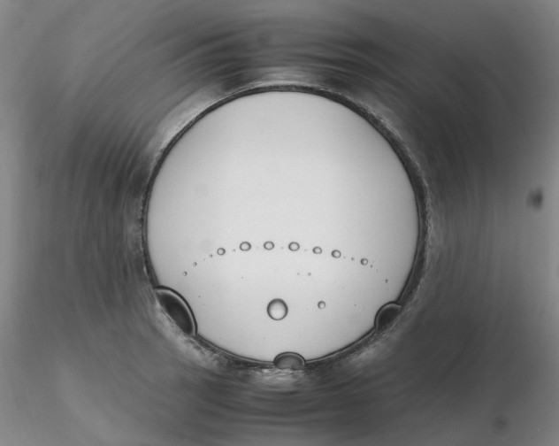 X0000116271137200912211752