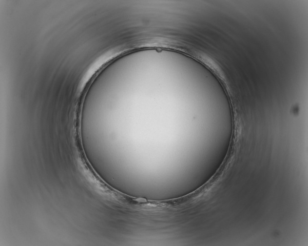 X0000116271138200912211752