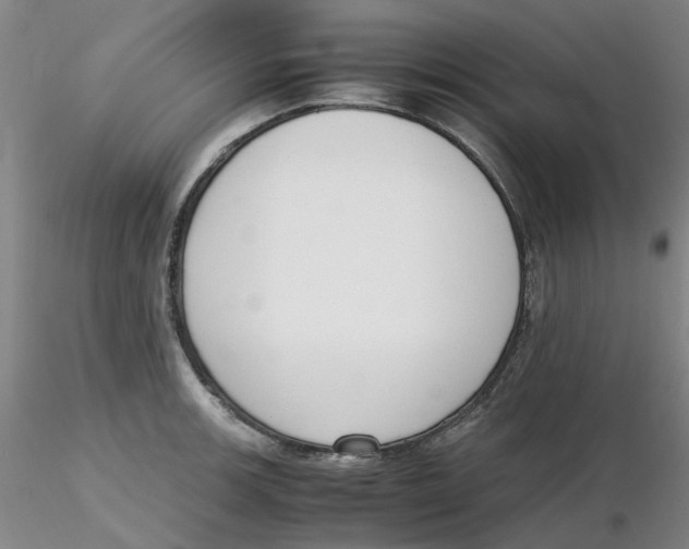 X0000116271139200912211752