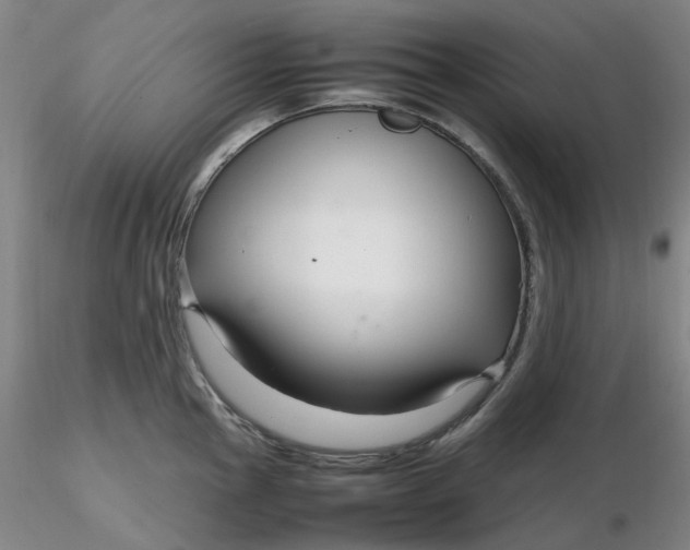 X0000116271145200912211752