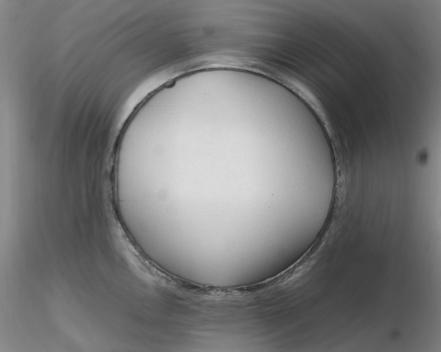 X0000116271146200912211752