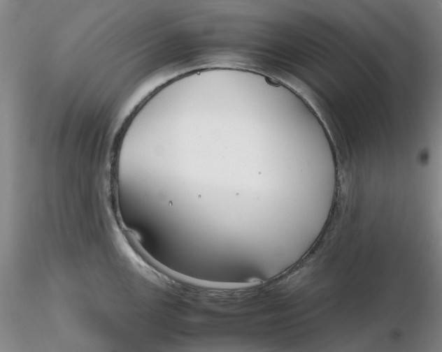 X0000116271147200912211752