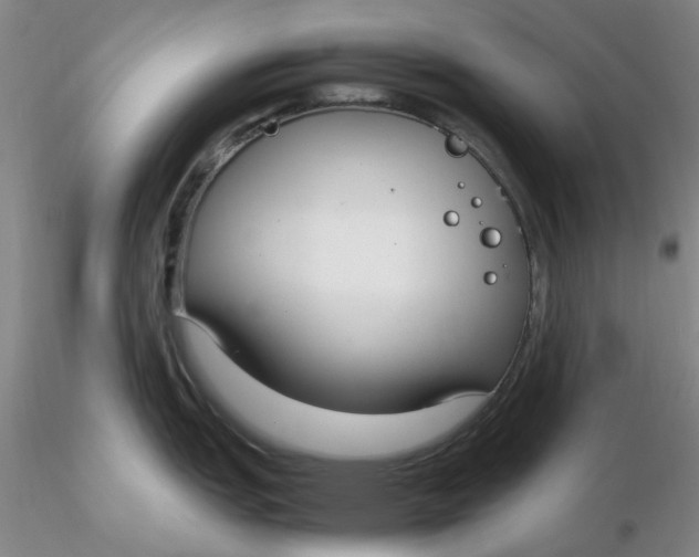 X0000116271151200912211752
