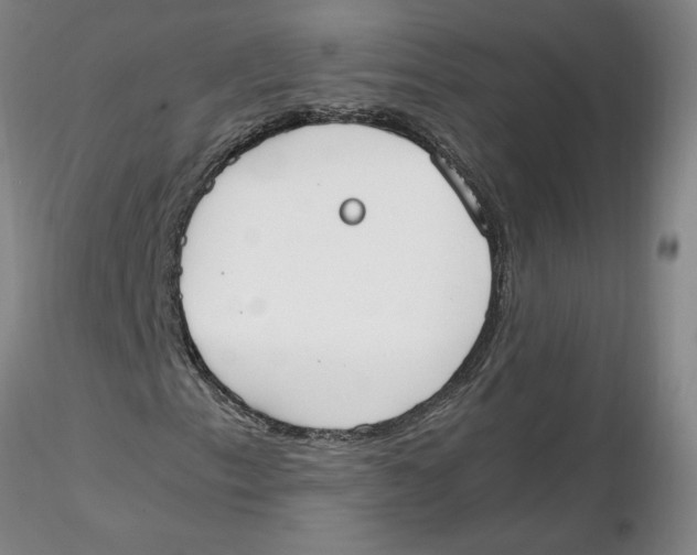 X0000116271153200912211752