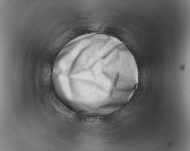 X0000116271154200912211752